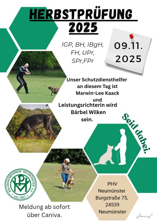 Plakat 9.11.25 Plakat 9.11.25